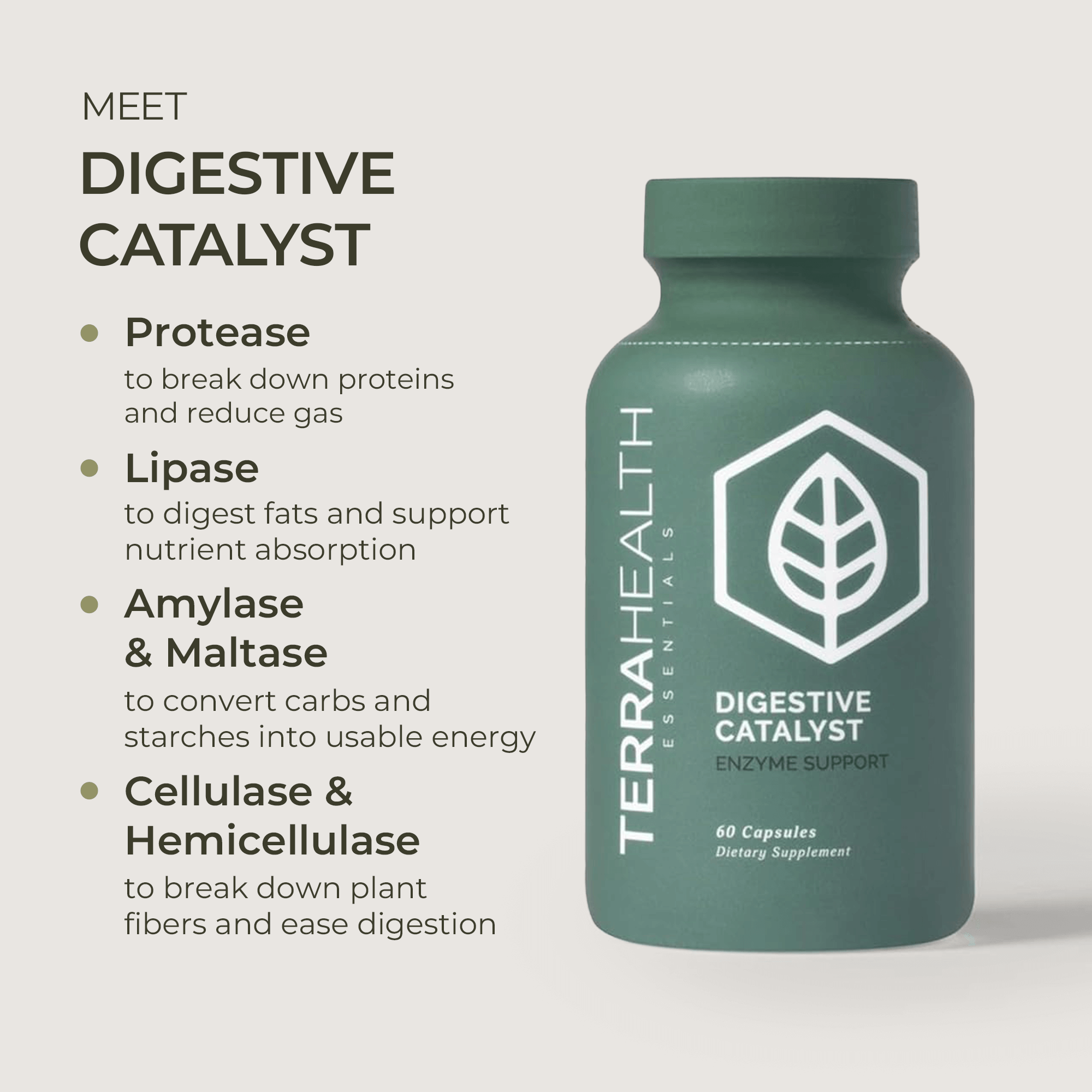 Digestive Catalyst - Terra Health Essentials